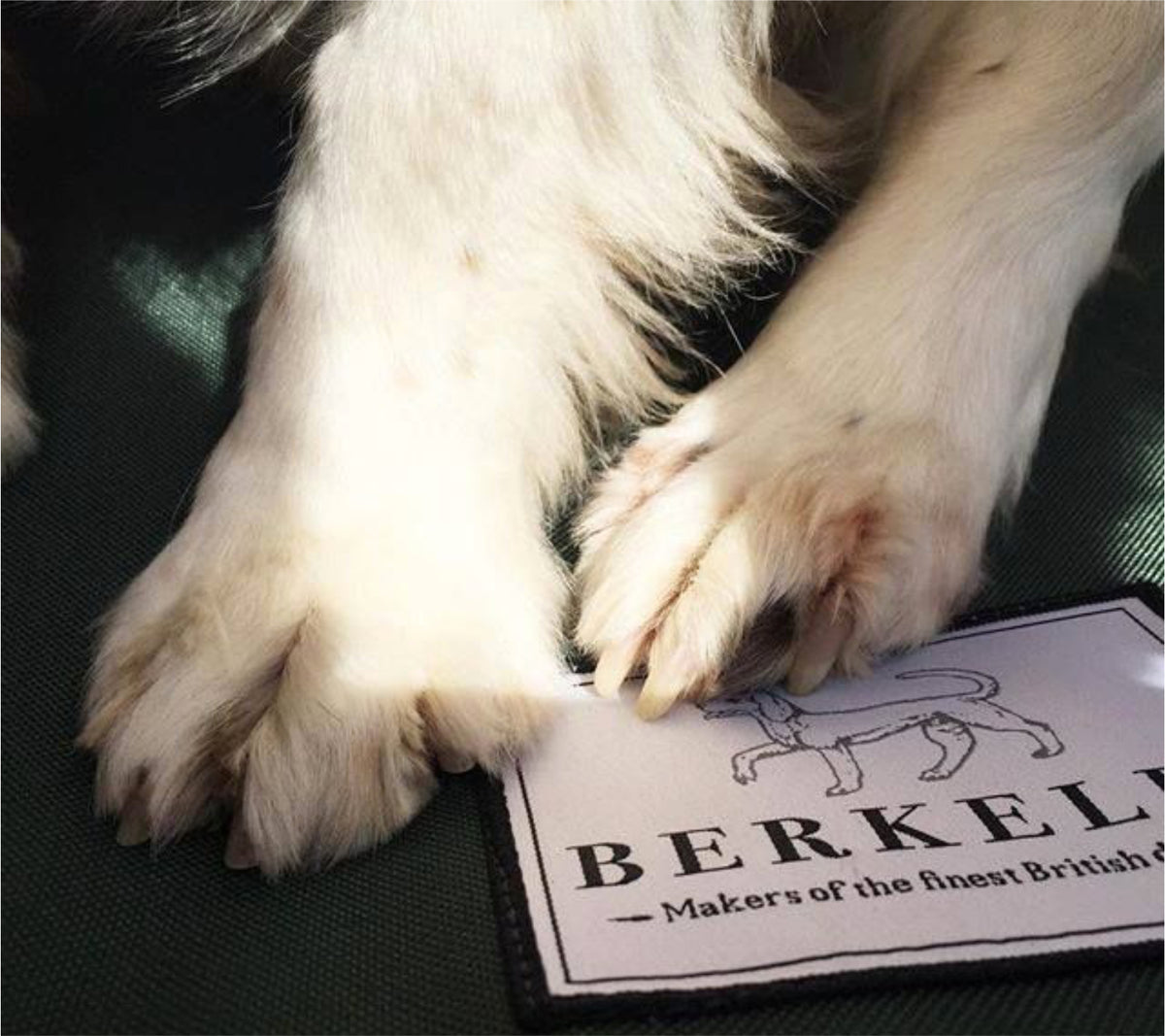 Tough Dog Beds How Long Should A Dog Bed Last?