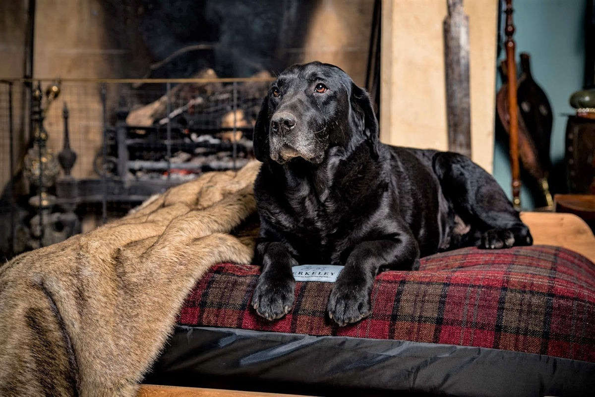 Luxury Dog Beds by Berkeley UK