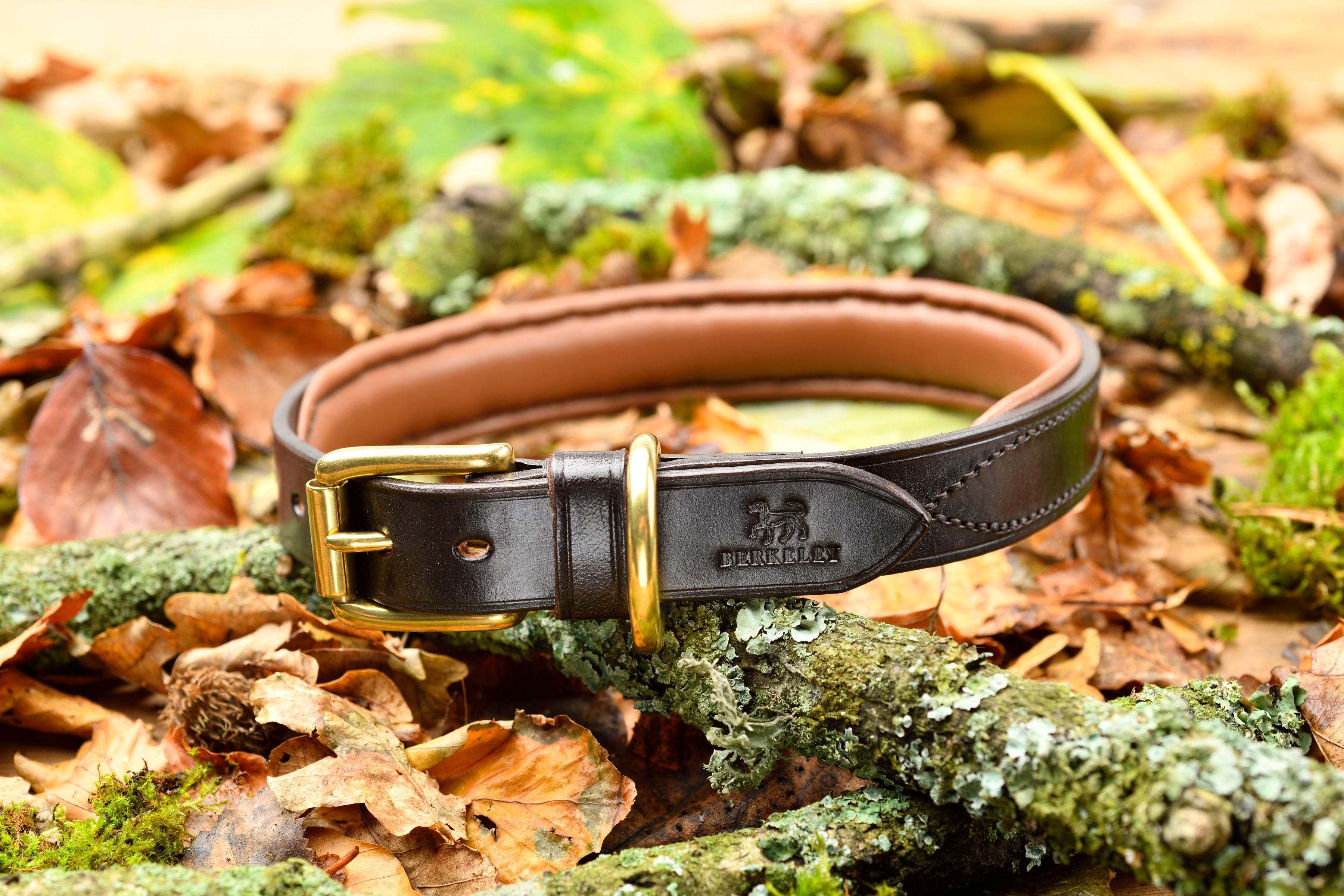 Bridle Leather Dog Collar by Berkeley