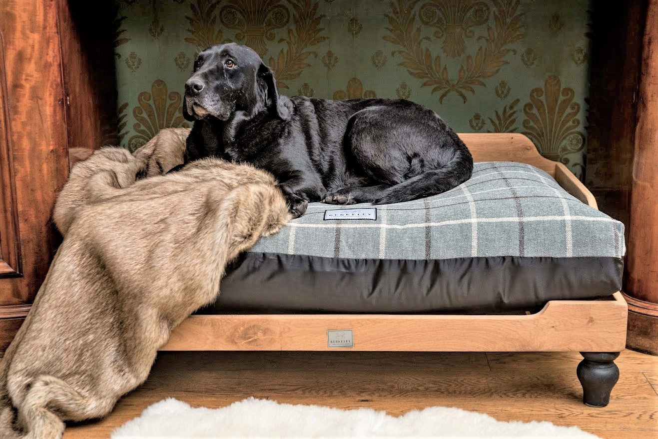 Berkeley Raised Wooden Dog Bed