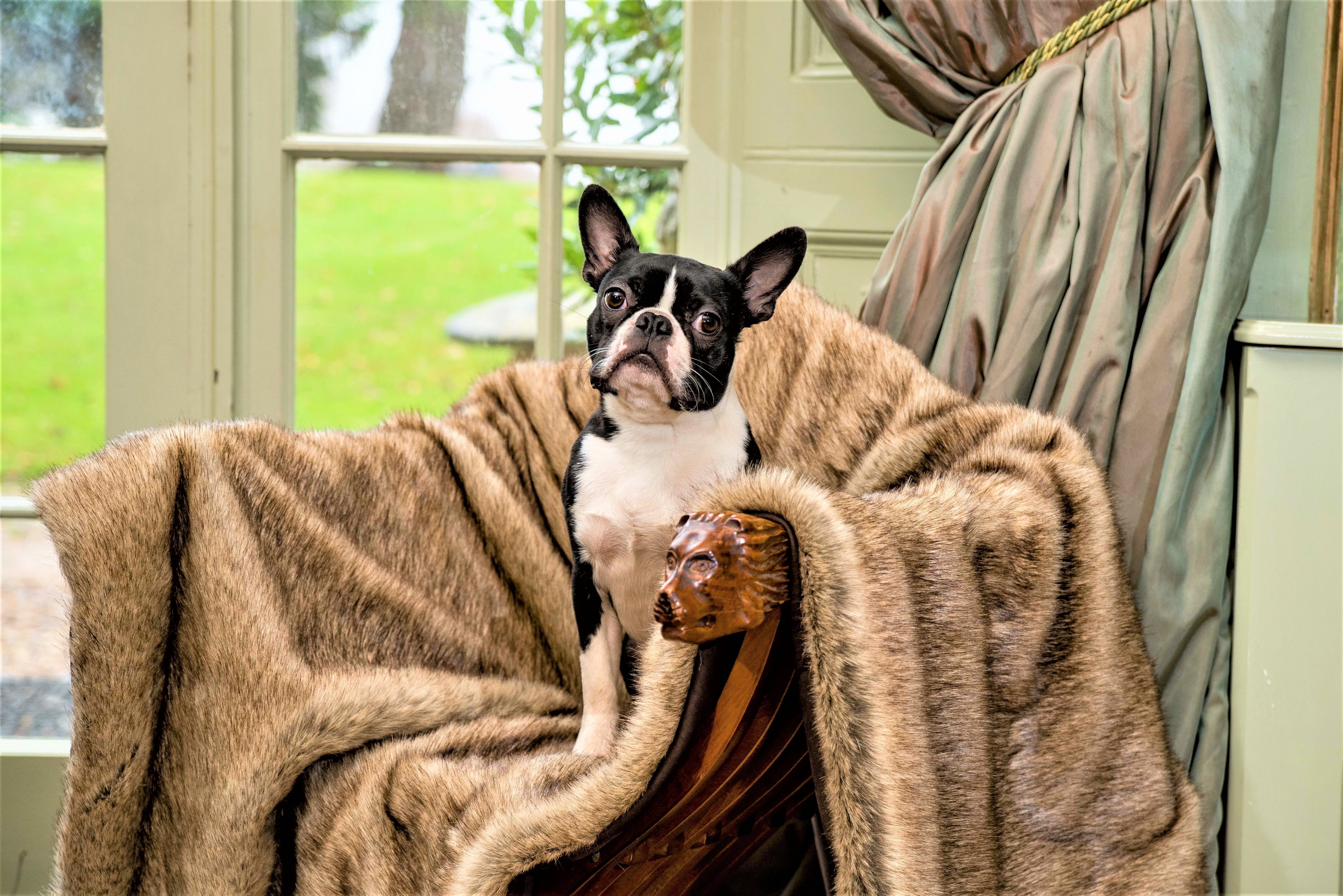Luxury Faux Fur Blanket by Berkeley