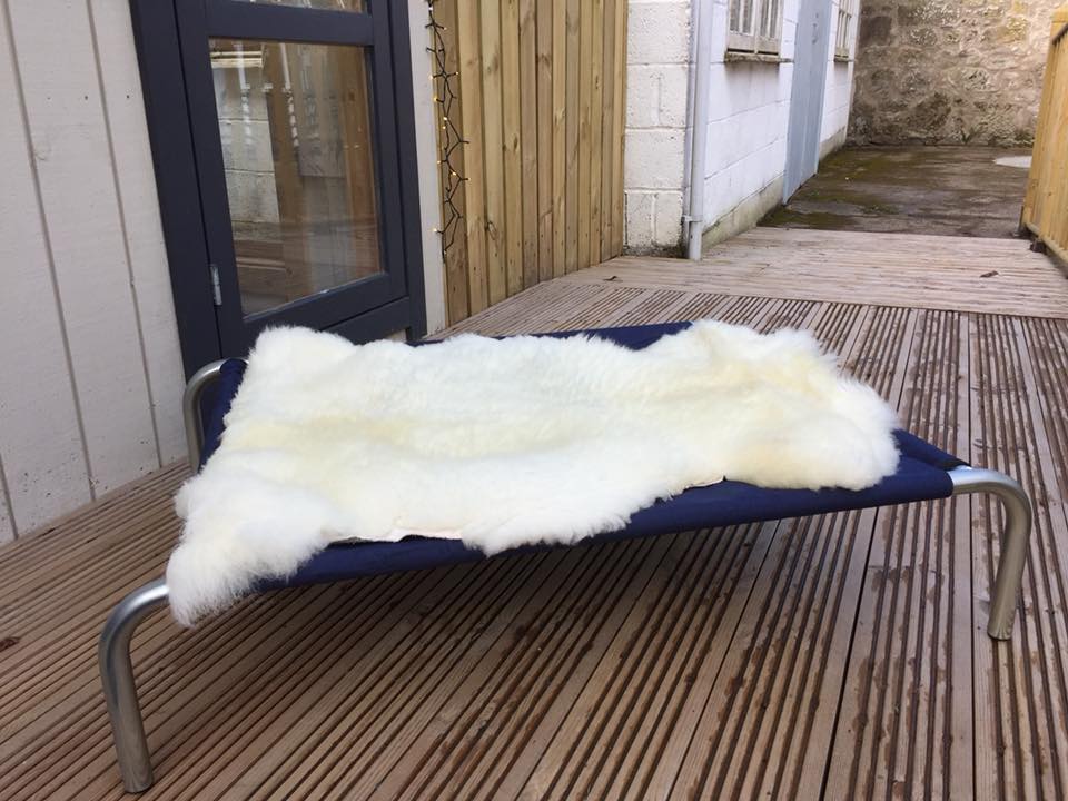 Luxury Sheepskin Dog Bedding by Berkeley