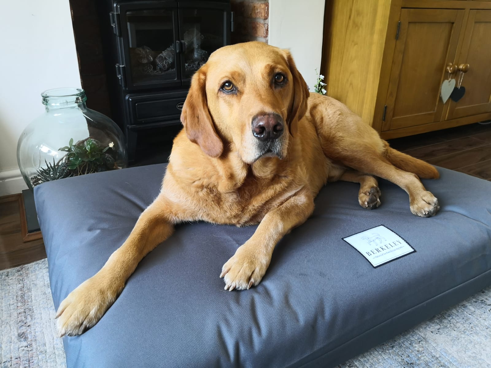 Orthopaedic Dog Bed by Berkeley