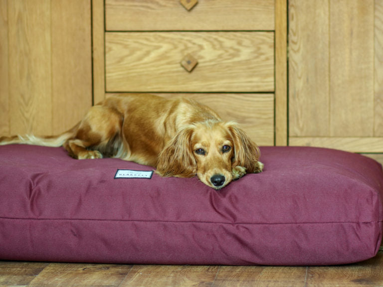 Waterproof Orthopedic Dog Bed Mattress by Berkeley