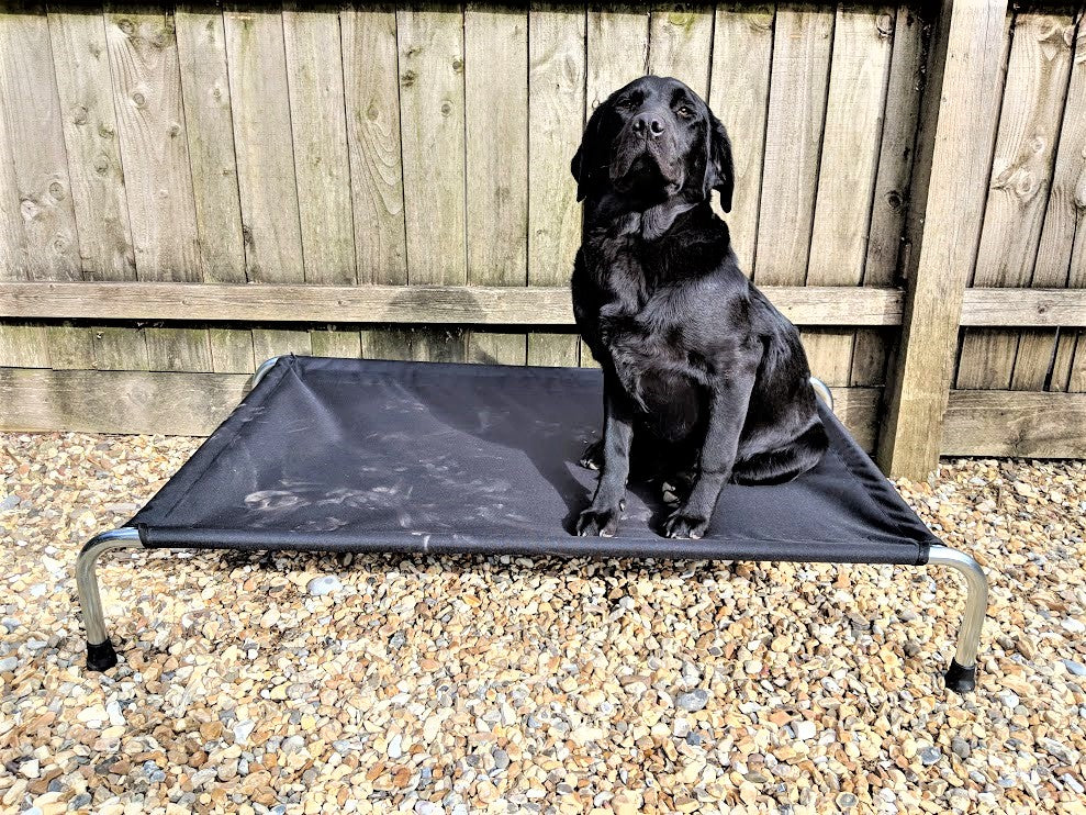 Berkeley Heavy Duty Raised Dog Bed