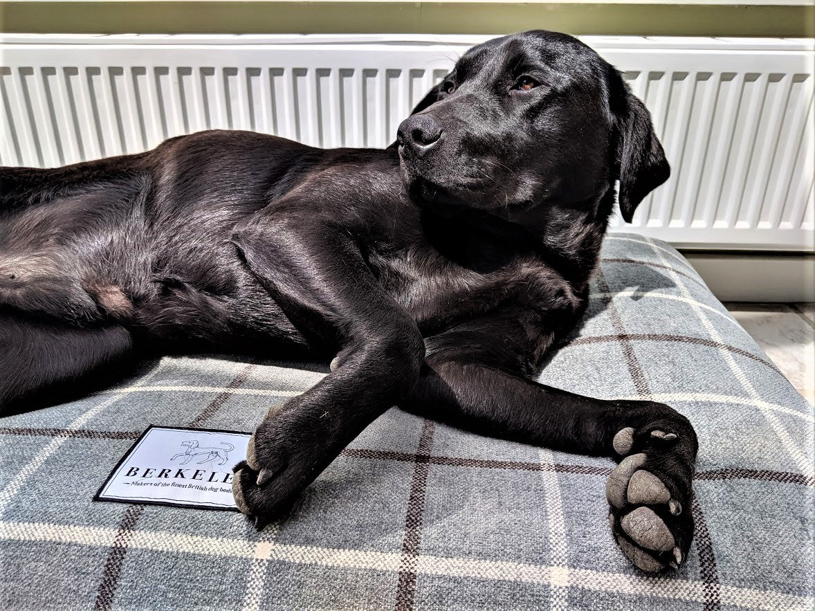 Luxury Fabric Dog Bed Cover in Grey Tartan by Berkeley