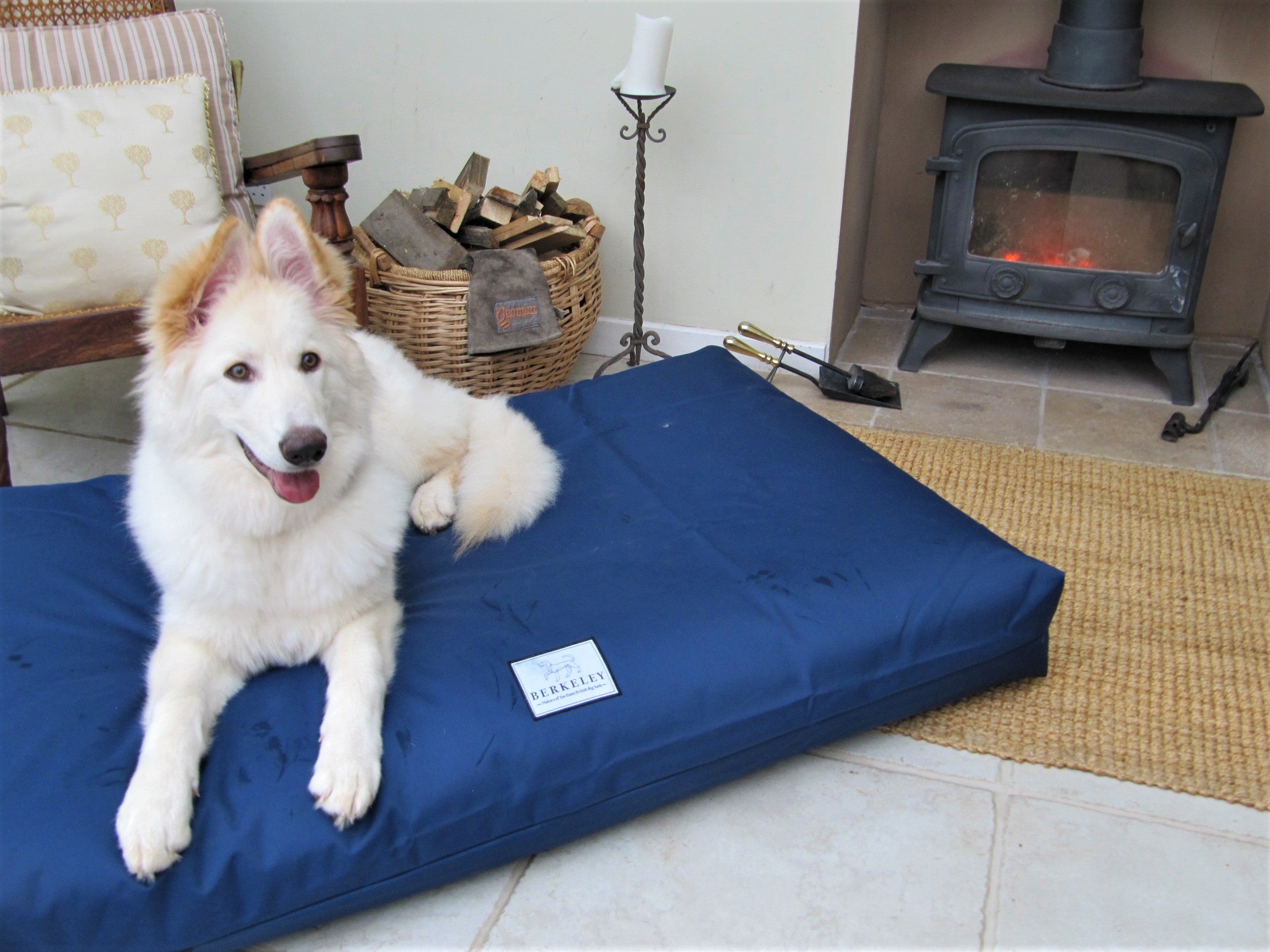 Extra Large Orthopedic Dog Bed Mattress by Berkeley