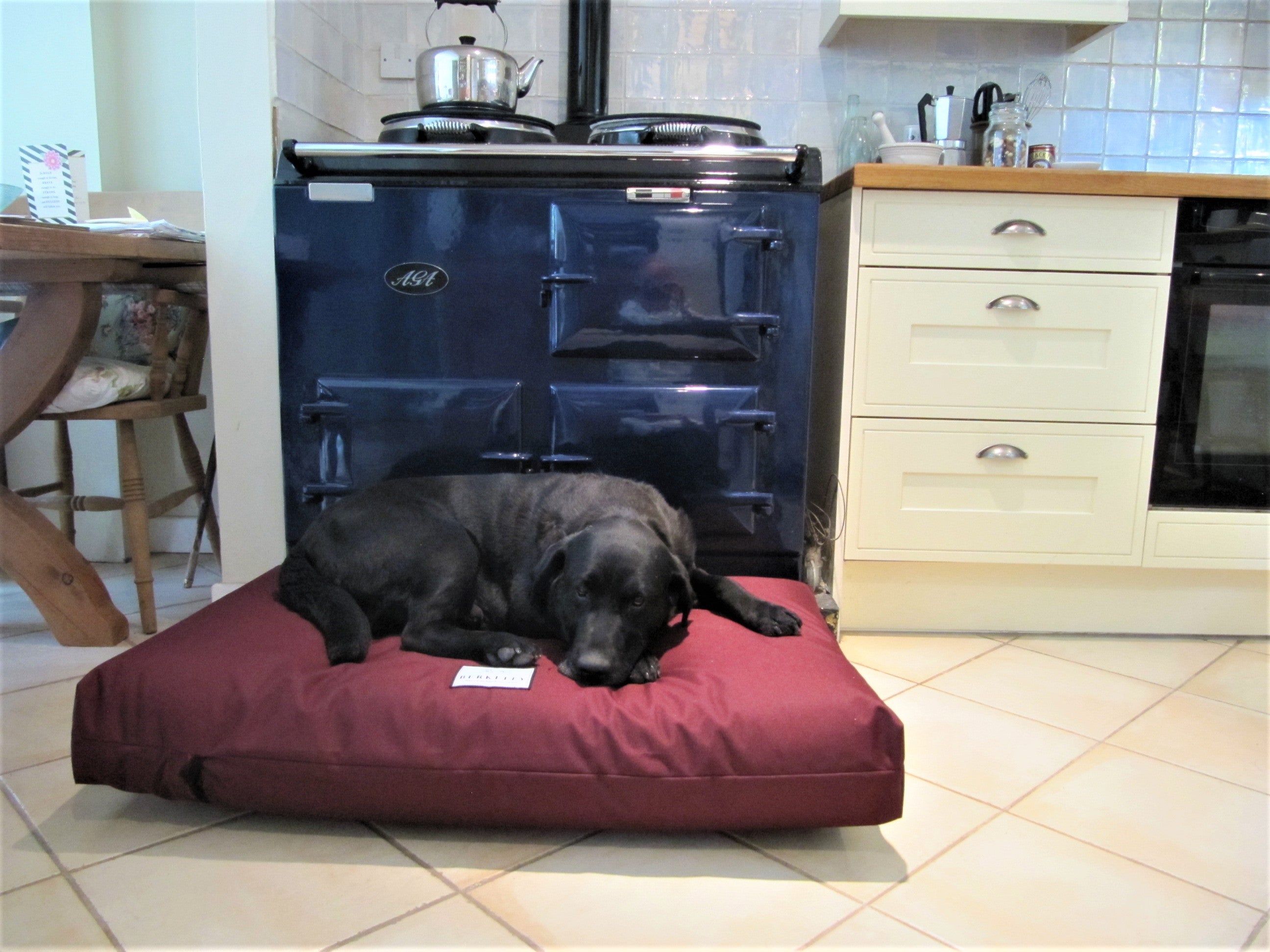Luxury Orthopedic Dog Bed Mattress by Berkeley