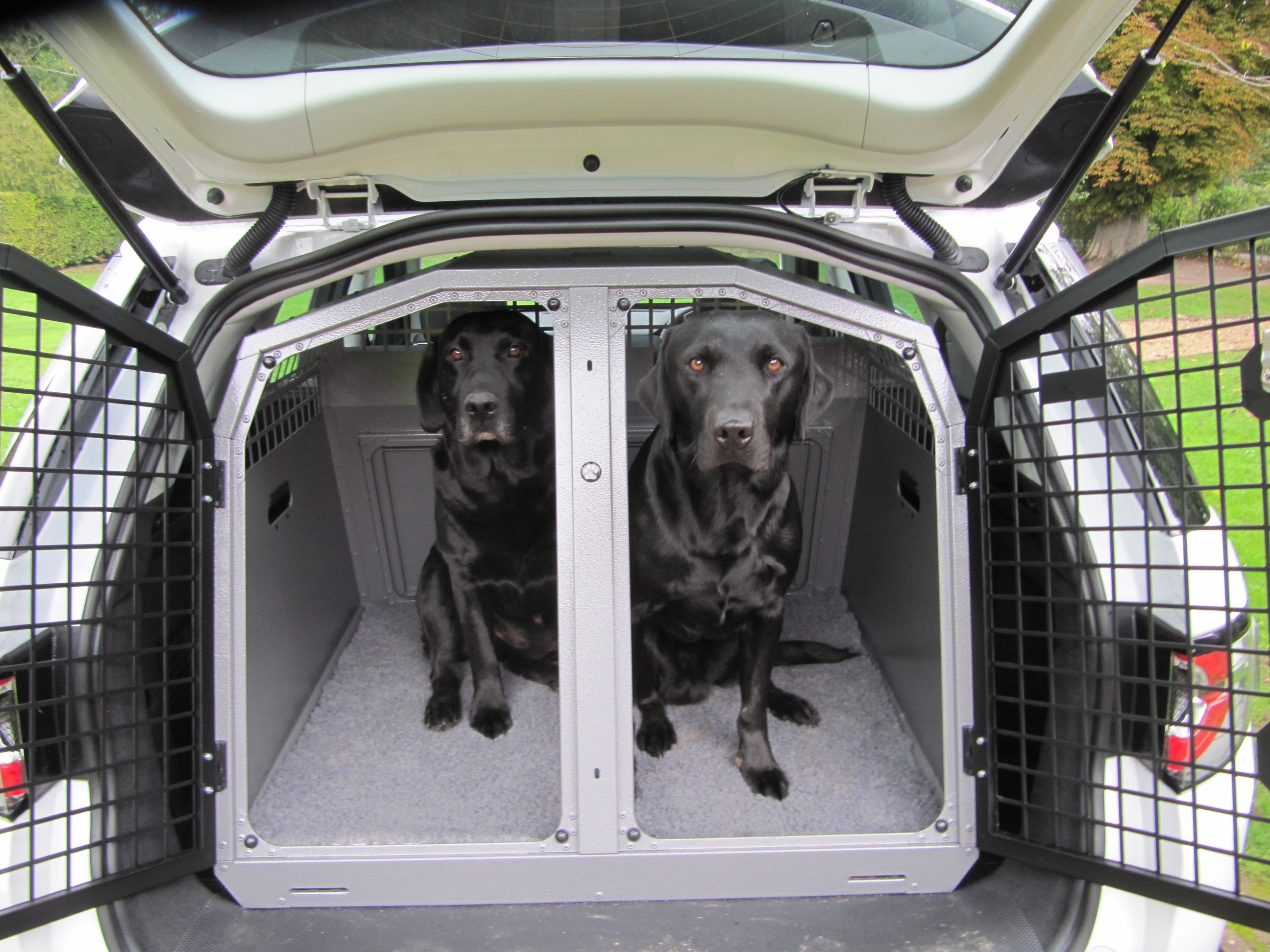 Berkeley Vet Bed Liner in a TransK9 Dog Transit Box