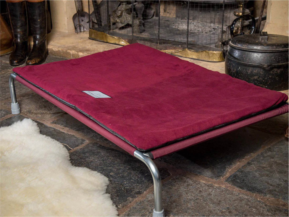 Raised Dog Bed and Non-Slip Polar Fleece Pad by Berkeley