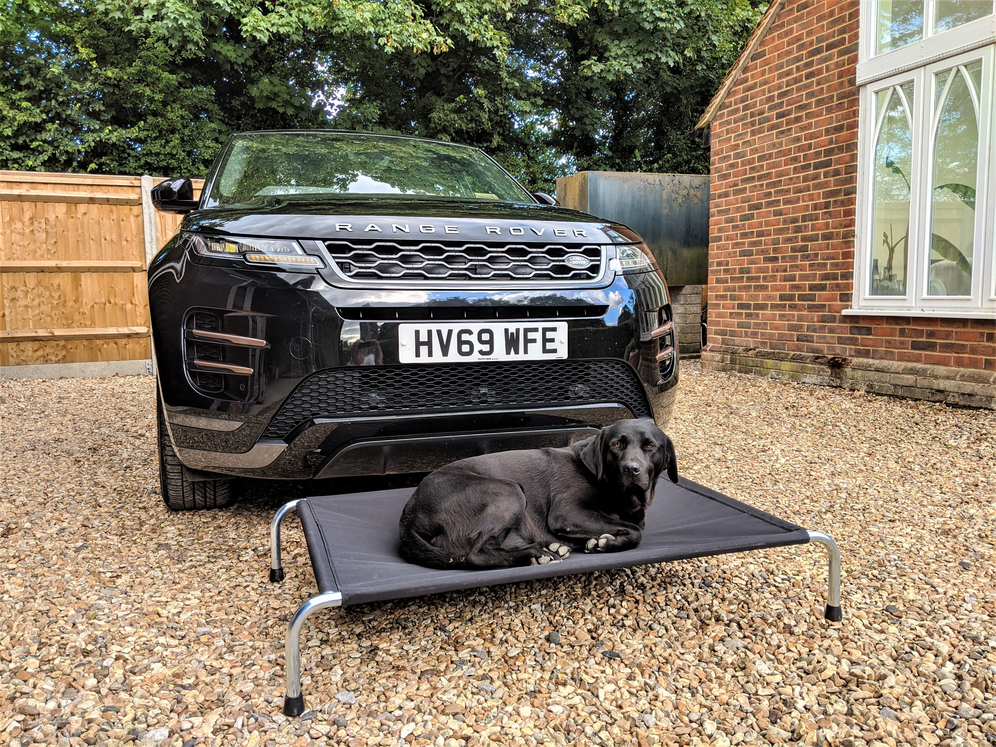 Berkeley HD Raised Dog Bed