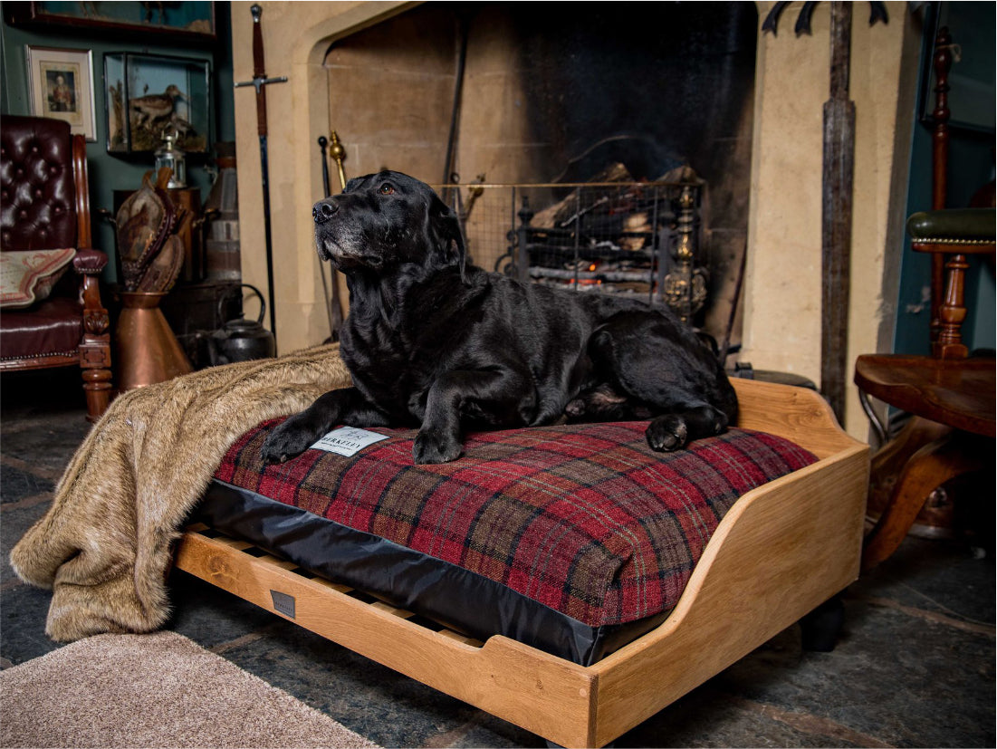 Luxury Dog Bed fitted with Red Tartan Fabric Cover by Berkeley