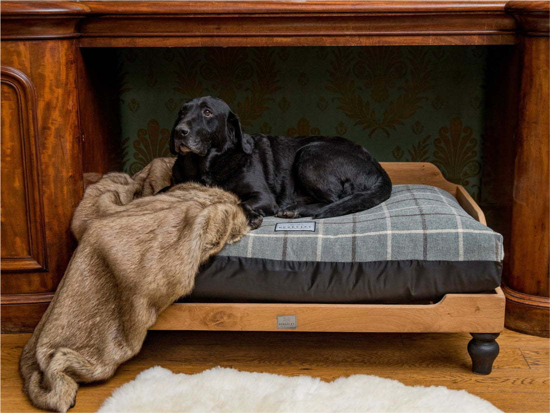 Luxury Dog Bed in Tartan by Berkeley