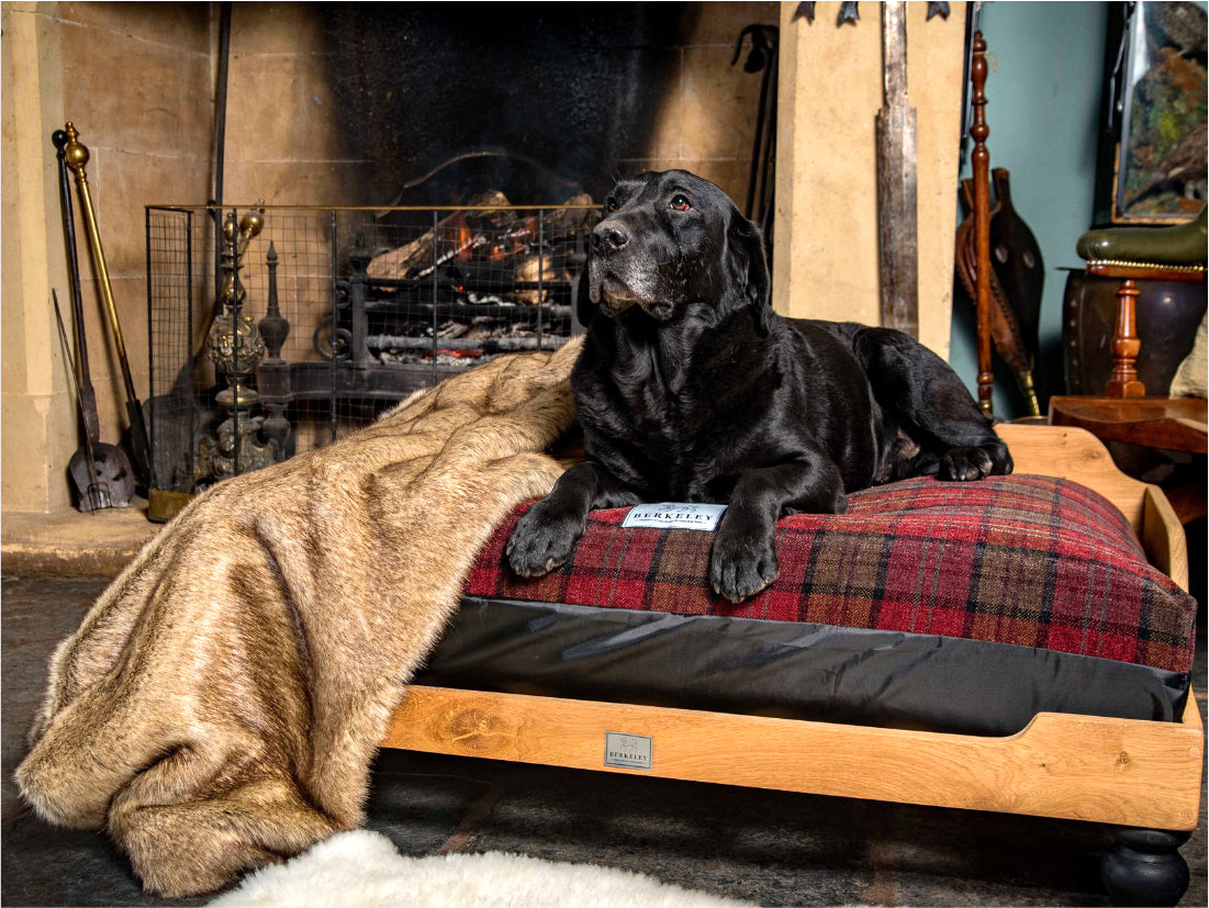 Wooden Dog Beds by Berkeley