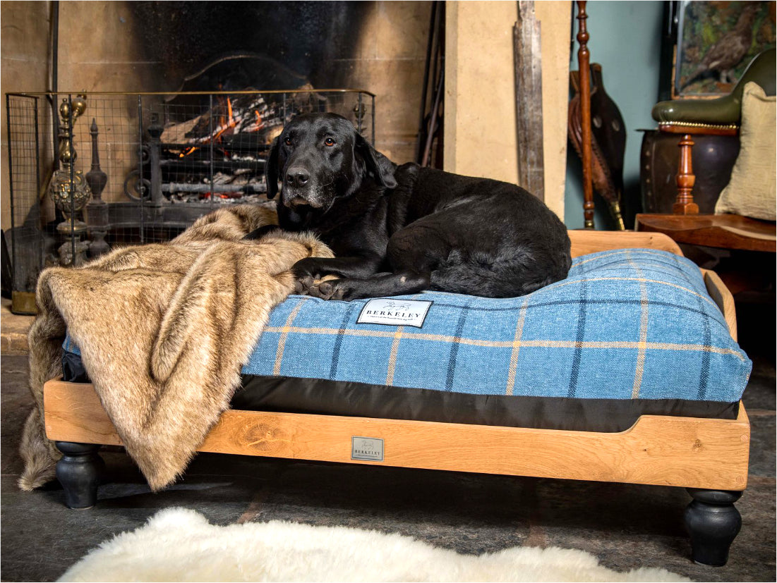 Luxury Wooden Dog Bed by Berkeley