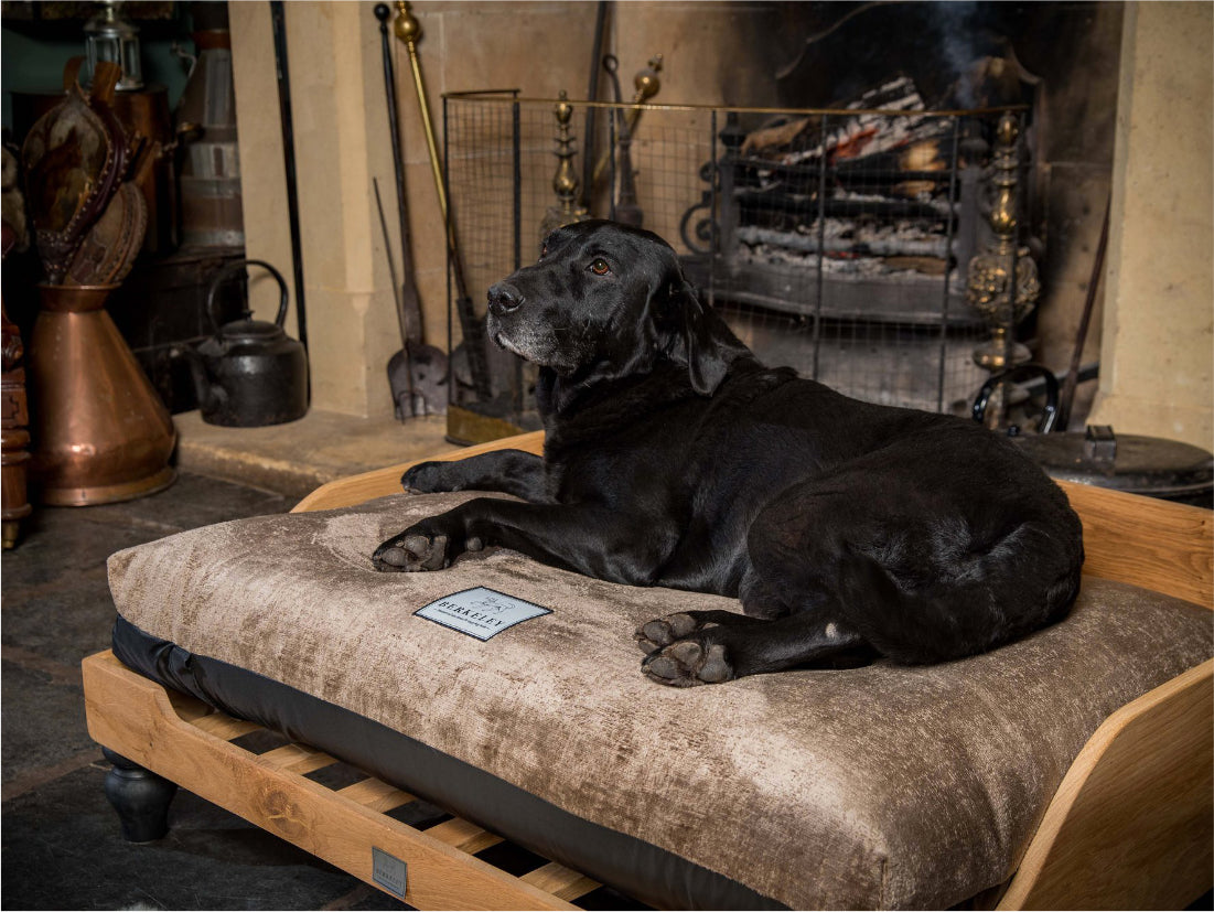 Wooden Dog Bed and Orthopedic Mattress by Berkeley