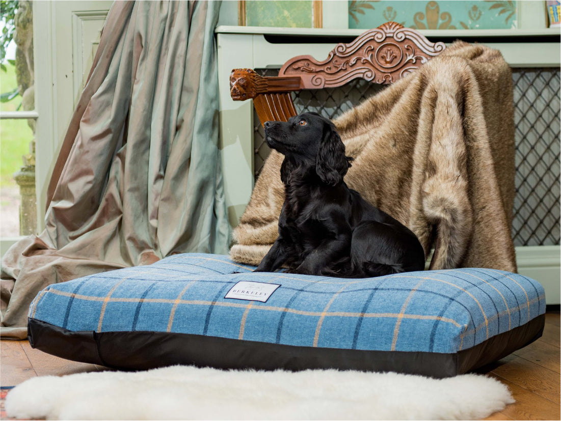 Luxury Dog Bed Tartan Fabric Covers by Berkeley