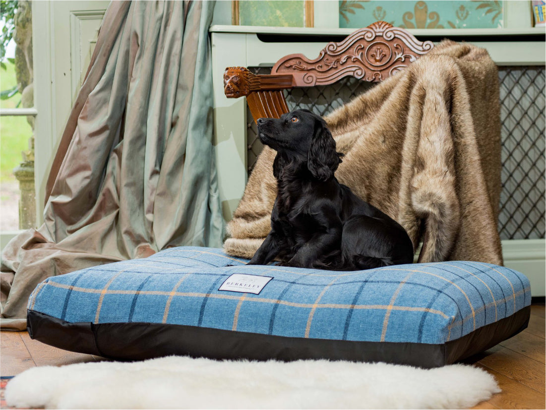 Dog Blanket Orvis Dog Beds Uk Luxury Tartan Dog Bed Handmade