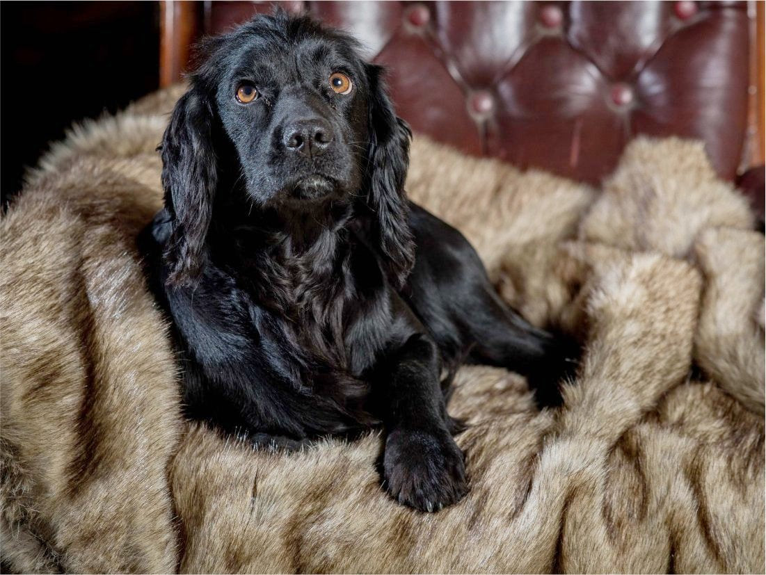 Luxury Dog Bed Blankets by Berkeley
