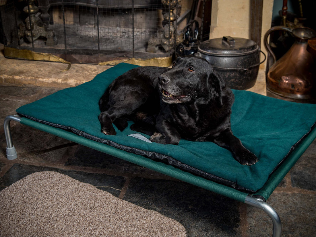 Raised Dog Bed fitted with Non-Slip Polar Fleece Pad by Berkeley