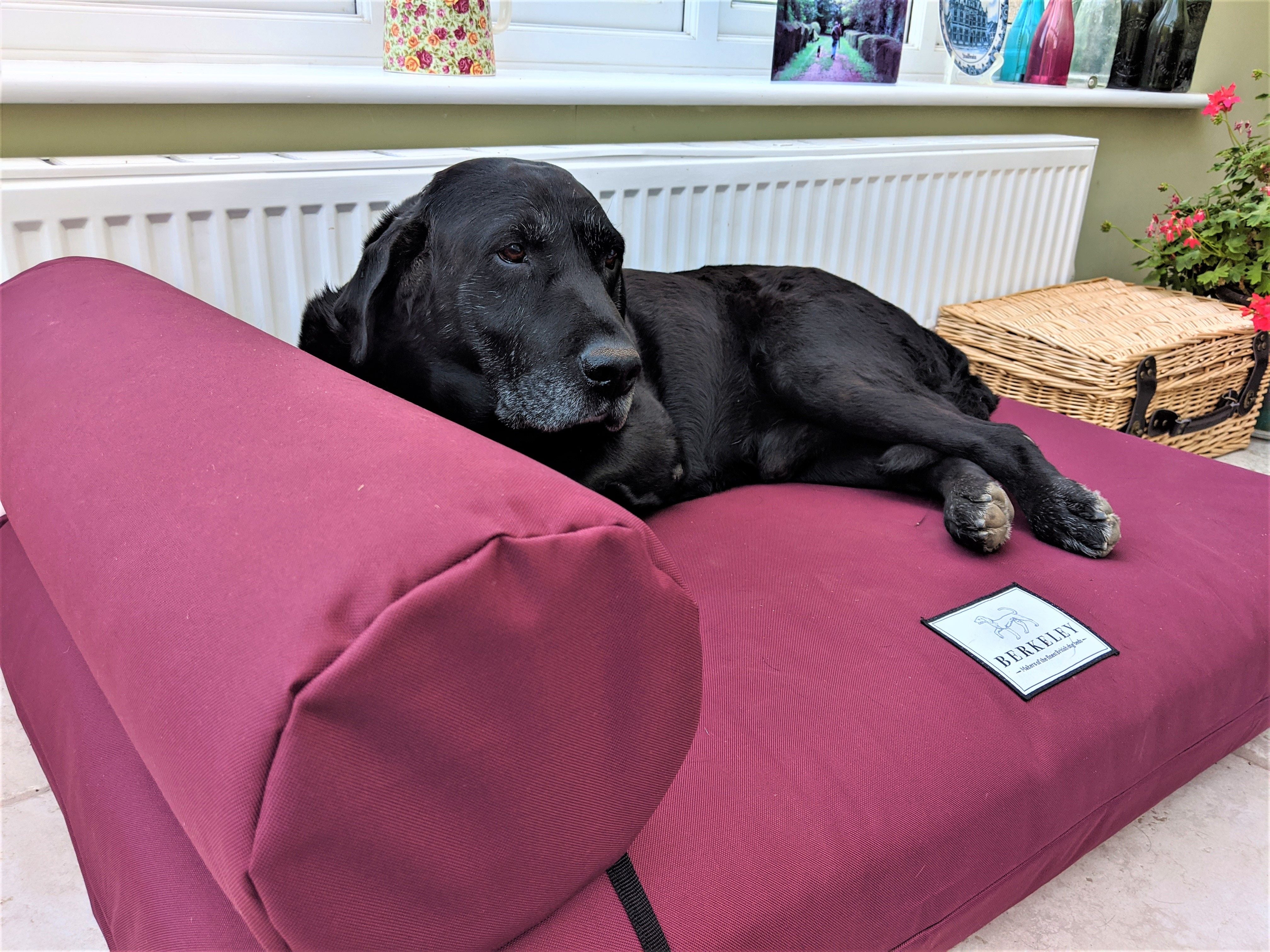 Universal Dog Bed Bolster by Berkeley