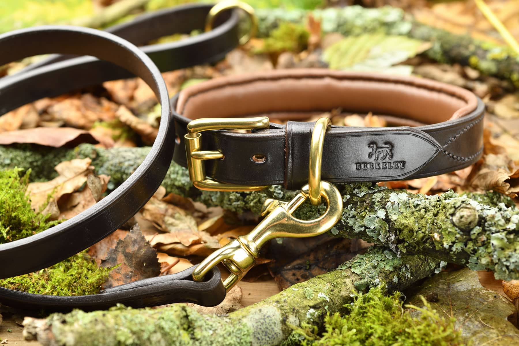 Luxury Leather Dog Collars