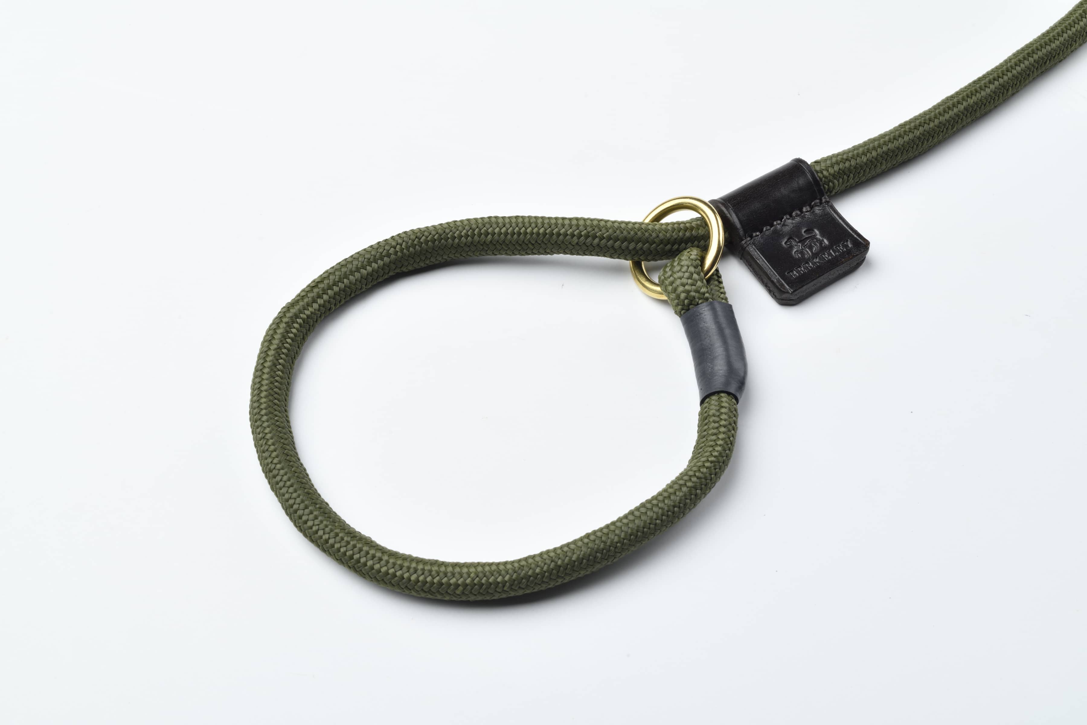 Luxury Slip Lead for Dogs UK